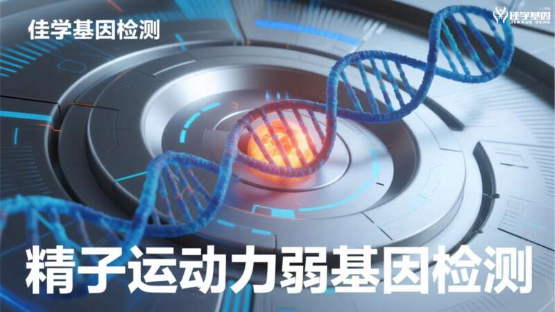 【J9官网 J9基因检测】男性脱发和<font color='red'>生育</font>力：基因告诉了我们什么？